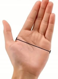 Rękawice motocyklowe Motocentric / Czerwone / L