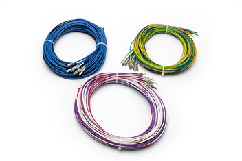 Ecumaster Emu Classic - wiązka