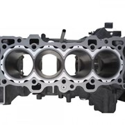 Blockguard Honda B-seria